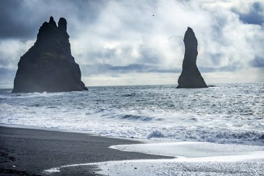Sea Stacks Birds Martıları Reynisfjara Black Sand Beach Güney İzlanda. Kum siyah obsidiyendir. 