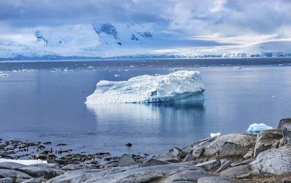 Iceberg Snow Mountains Blue Glaciers Damoy Point Penisola Antartica Antartide — Foto Stock