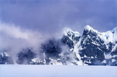 Kar Yürüyüşçüleri Kar Dağları Damoy Point Antarktika Yarımadası. Kar dağlarına ayak basan turistler.