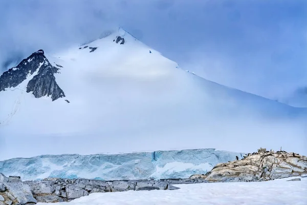 Montañas Nieve Glaciar Azul Pingüinos Gentoo Rookery Damoy Point Península — Foto de Stock