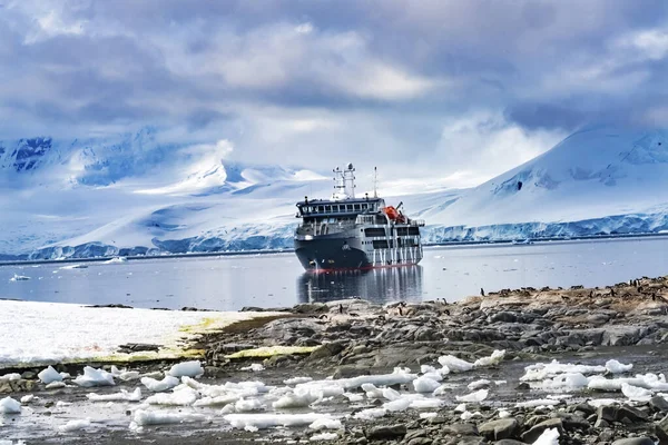 Crucero Montañas Nieve Glaciares Azules Punta Damoy Península Antártica Antártida —  Fotos de Stock
