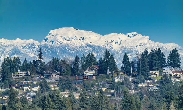 Huizen Woonwijken Sneeuw Bedekte Cascade Mountains Bellevue Washingto — Stockfoto