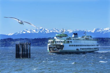 Seagull Washington State Ferry Olympic Snow Mountains Edmonds Washington.  Ferry arriving at Ferry Port on Puget Sound. clipart