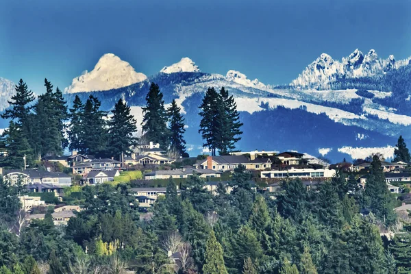 Domy Obytné Čtvrti Snow Capped Cascade Mountains Bellevue Washington — Stock fotografie