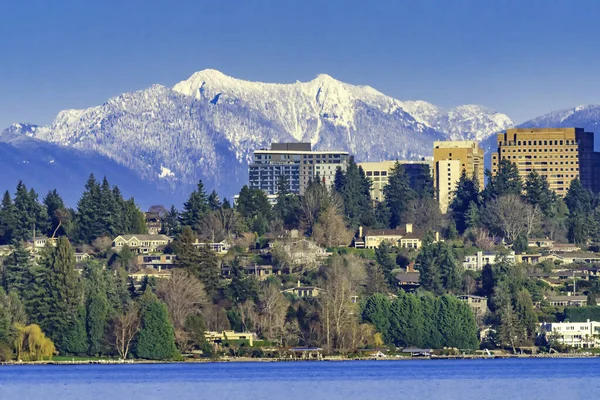 Höga Byggnader Husen Bostadsområden Lake Washington Snow Capped Cascade Mountains — Stockfoto