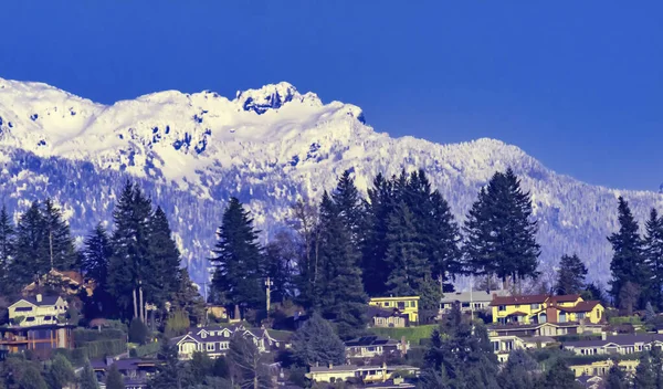 Houses Residential Neighborhoods Snow Capped Cascade Mountains Bellevue Washingto — Stock Photo, Image