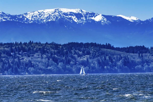 Sailboat Olympic Snow Mountains Bracketts Landing South Beach Park Edmonds — Stock Photo, Image