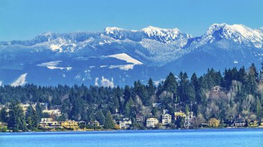 Houses Residential Neighborhoods Lake Washington Snow Capped Cascade Mountains Bellevue Washingto