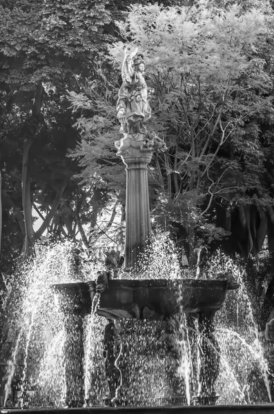 Black White Zocalo Park Plaza San Miguel Arcangel Fontän Sunset — Stockfoto