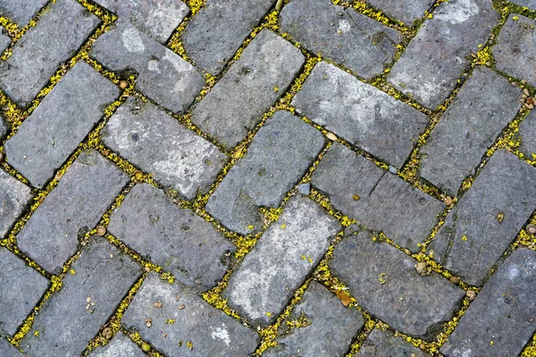 Sidewalk Bricks Abstrakt Bakgrund Trädgård District New Orleans Louisiana National — Stockfoto
