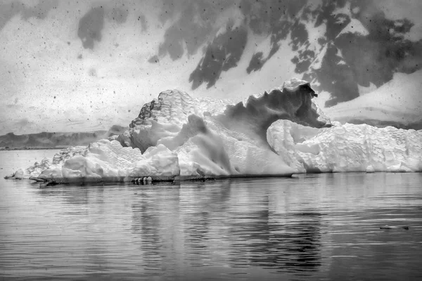 Black White Snowing Floating Blue Iceberg Reflection Paradise Bay Skintorp — Stock Photo, Image