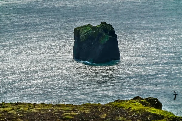 ダイローリーパークシーガル レニスフィヤラ黒砂のビーチ South Shore Iceland — ストック写真