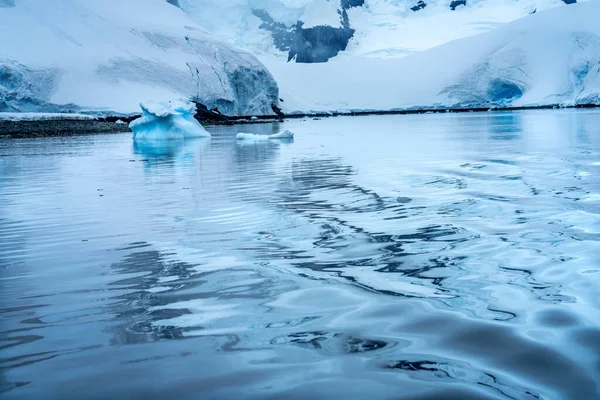 Snowing Blue Mountains Reflection Paradise Bay Skintorp Cove Antarctica Glacier — Stock Photo, Image