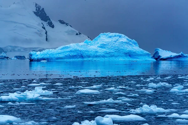 Snowing Floating Blue Iceberg Reflection Paradise Bay Skintorp Cove Antarctica — Foto Stock