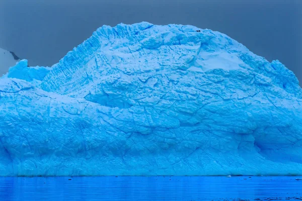 スノーフローティングブルー氷山反射パラダイスベイスキントープコーブ南極 氷河の氷の青のため 空気の雪の外に圧迫 — ストック写真