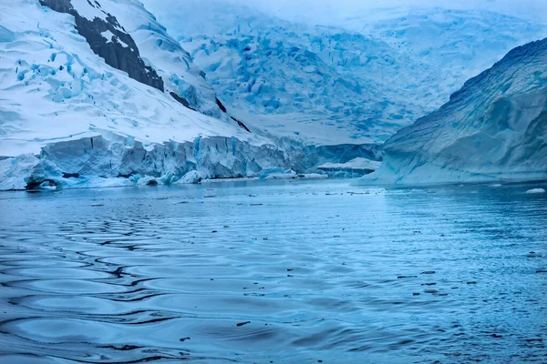 Голубой Снег Горит Заливе Парадизе Залива Скинторп Антарктиде Ледник Голубой — стоковое фото