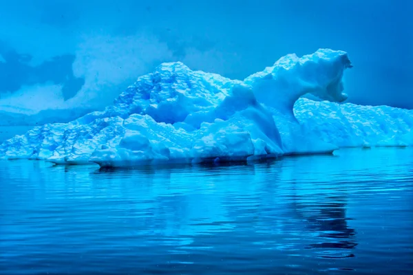 Snowing Floating Blue Iceberg Reflection Paradise Bay Skintorp Cove Antarctica — Foto Stock