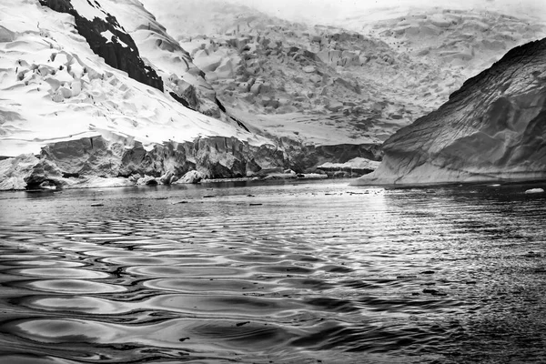 Black White Glacier Snow Mountains Paradise Bay Skintorp Cove Antarctica — Stock Photo, Image