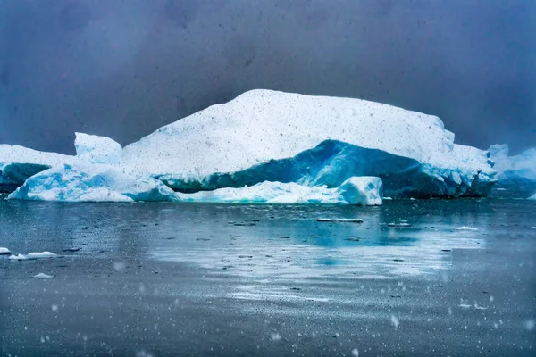 Snowing Blue Iceberg Reflection Paradise Bay Skintorp Cove Antarctica Ледник — стоковое фото