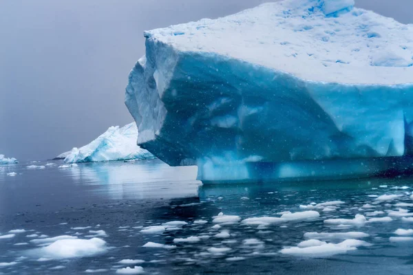 Snowing Floating Blue Iceberg Reflection Paradise Bay Skintorp Cove Antarctica — Foto Stock