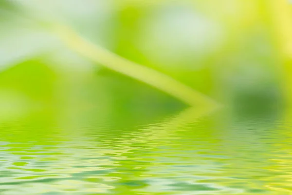 Fondo verde con riflesso dell'acqua — Foto Stock