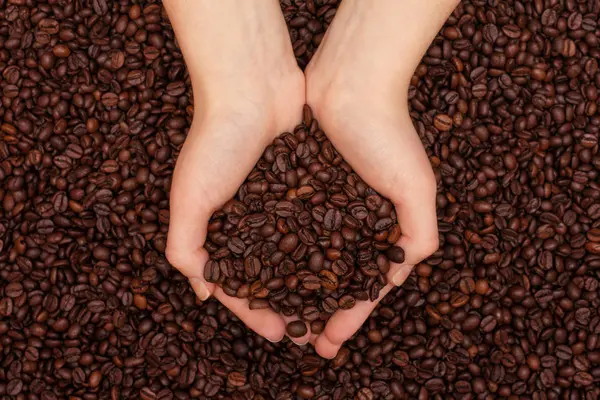 Grains de café dans les mains des femmes sur fond de grains de café — Photo