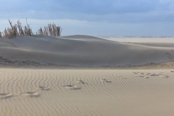 Sand dunes on the Dutch North Sea coast