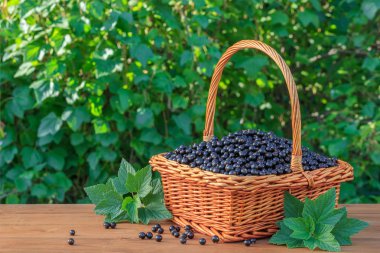 Taze Siyah frenk üzümü bir sepet Bahçe ahşap tablo