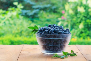 Bahçe ahşap tablo kase taze yaban mersini