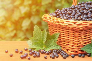 Taze Siyah frenk üzümü bir sepet Bahçe ahşap tablo