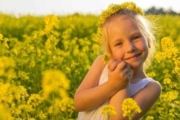小さな白人の女の子は開花レイプ牧草地で遊んでいます ストックフォト