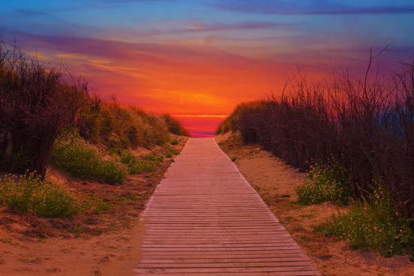 夕暮れ時の砂丘の間のビーチへの木製の道 ストック画像
