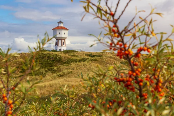 A lighthouse at the island of Langeoog with sea buckthorn bush in the foreground, Lower Saxony, Germany ストック写真