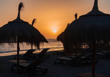 Straw parasols and palm trees silhouettes on the beach at sunset