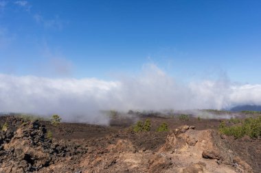 El Teide Ulusal Parkı, Tenerife, Kanarya Adaları, İspanya