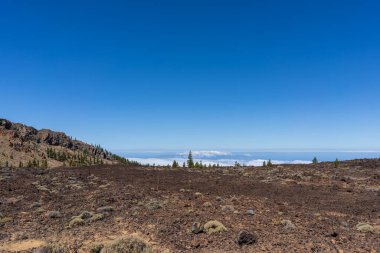 El Teide Ulusal Parkı, Tenerife, Kanarya Adaları, İspanya