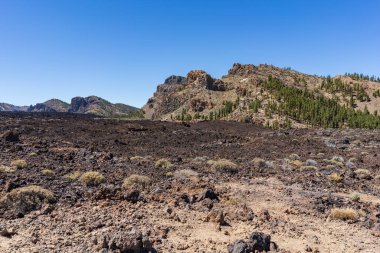 El Teide Ulusal Parkı, Tenerife, Kanarya Adaları, İspanya