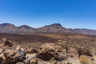 El Teide Ulusal Parkı, Tenerife, Kanarya Adaları, İspanya