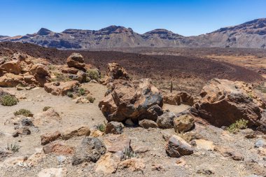 El Teide Ulusal Parkı, Tenerife, Kanarya Adaları, İspanya