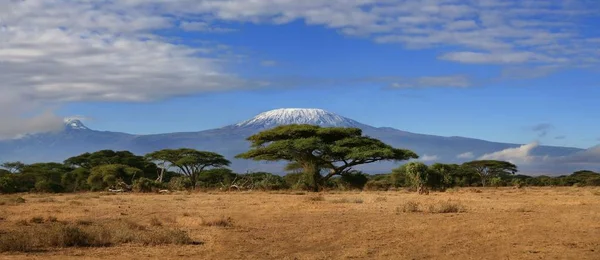 Kilimanjaro Mountain África — Fotografia de Stock