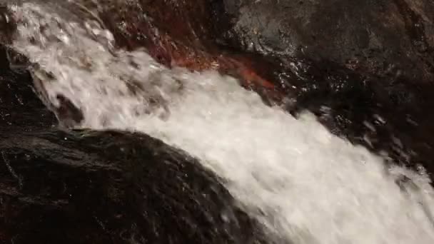 Scène de rivière de montagne 