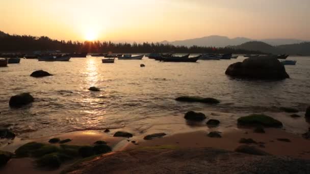 Sunset Harbour Vietnam — Video