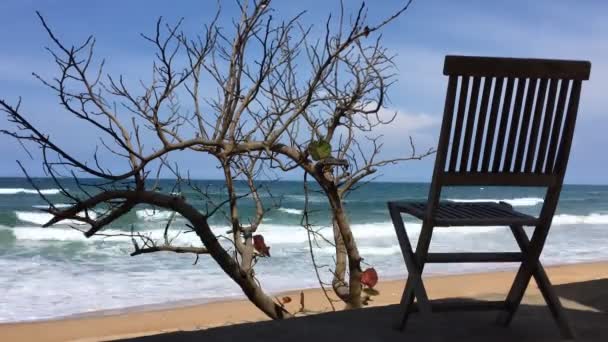 Strandstoel Time Lapse Vietnam — Stockvideo