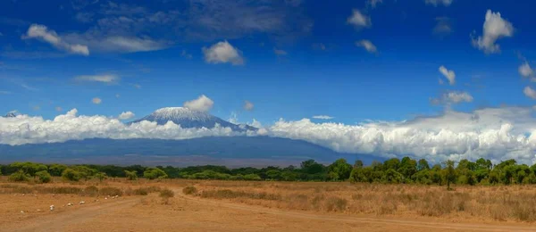 Гори Кіліманджаро Танзанії подорожі Африки Стокове Фото