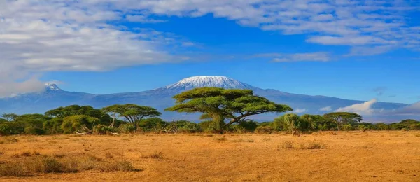 Танзанія Кіліманджаро, Гора Кенія подорожі Африки Ліцензійні Стокові Фото