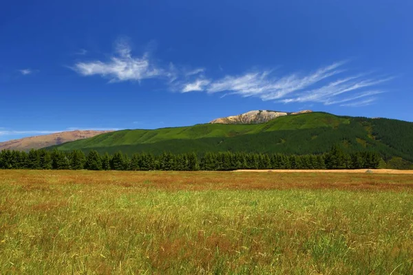 Prado Verde Con Cordillera Richmond Fondo Nueva Zelanda Hermoso Día —  Fotos de Stock