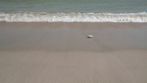 Meereswellen Die Auf Einen Goldenen Strand Mit Einem Kieselstein Unter — Stockvideo