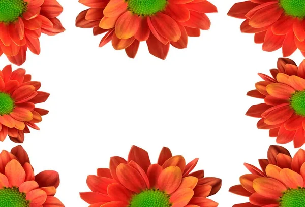 Virágos Üdvözlőkártya Háttér Helyet Szöveg Narancs Napraforgó Határ Divatos Nyári — Stock Fotó
