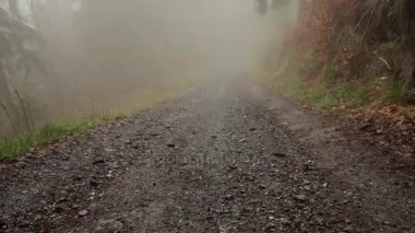 Sis road dağ orman