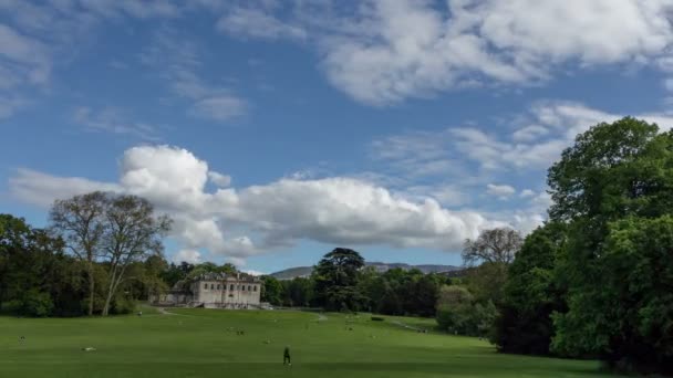 Movements in the park in the afternoon. Time-lapse — Stock Video